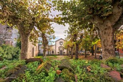 Tappa 7 Castel dei Ratti – Arquata Scrivia - chiesa s. antonio arquata